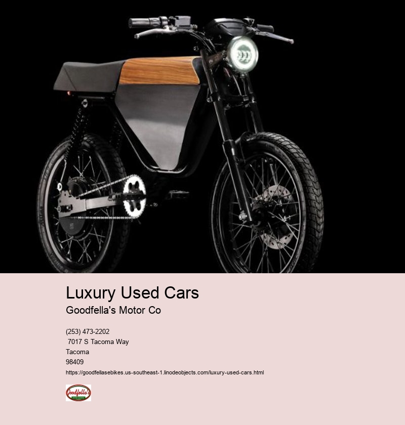 Luxury Electric Bike For Sale
